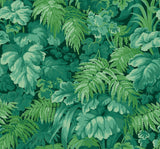 113/3009 - Royal Fernery