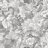 113/3011 - Royal Fernery