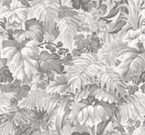 113/3011 - Royal Fernery