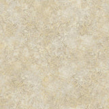 113/9025 - Patina Haze