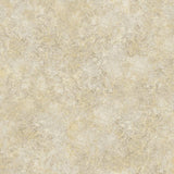 113/9025 - Patina Haze