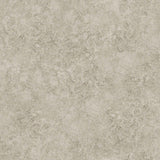 113/9026 - Patina Haze