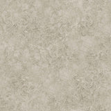 113/9026 - Patina Haze