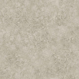 113/9026 - Patina Haze
