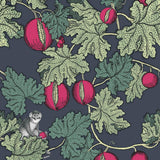 114/1001 - Frutto Proibito 1