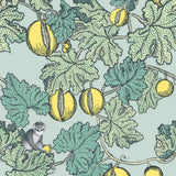 114/1002 - Frutto Proibito
