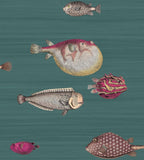 114/12024 - Acquario