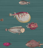 114/12024 - Acquario