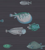 114/16032 - Acquario