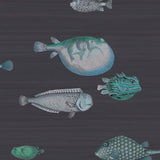 114/16032 - Acquario