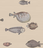114/16033 - Acquario