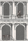 114/21041 - Procuratie e Scimmie