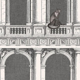 114/21041 - Procuratie e Scimmie