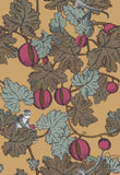 114/25049 - Frutto Proibito 1