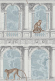 114/8015 - Procuratie con vista 1