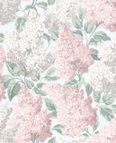 115/1002 - Lilac