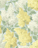 115/1003 - Lilac