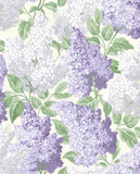 115/1004 - Lilac