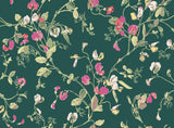 115/11033 - Sweet Pea 1