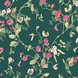 115/11033 - Sweet Pea 1