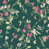 115/11033 - Sweet Pea 1