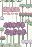 115/12034 - Allium