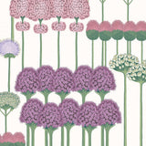 115/12034 - Allium
