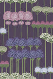 115/12036 - Allium