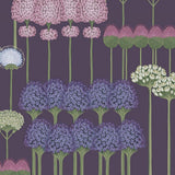 115/12036 - Allium
