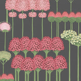 115/12037 - Allium