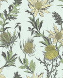 115/14042 - Thistle