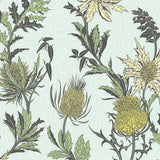 115/14042 - Thistle