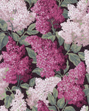 115/15045 - Lilac Grandiflora (2 roll set)