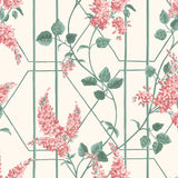 115/5012 - Wisteria