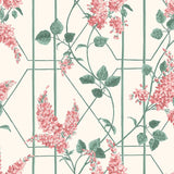 115/5012 - Wisteria