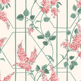 115/5012 - Wisteria