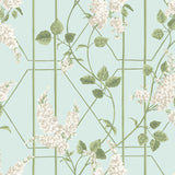 115/5014 - Wisteria