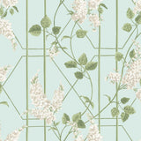 115/5014 - Wisteria