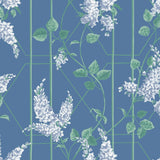 115/5015 - Wisteria