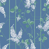 115/5015 - Wisteria