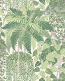 115/7021 - Fern