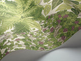 115/7021 - Fern