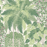 115/7021 - Fern