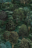 115/9028 - Forest