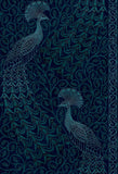 116/8028 - Pavo Parade