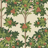 117/1001 - Orange Blossom