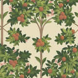117/1001 - Orange Blossom