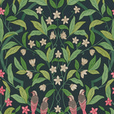 117/10028 - Jasmine & Serin Symphony