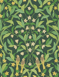 117/10029 - Jasmine & Serin Symphony