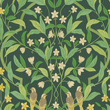 117/10029 - Jasmine & Serin Symphony